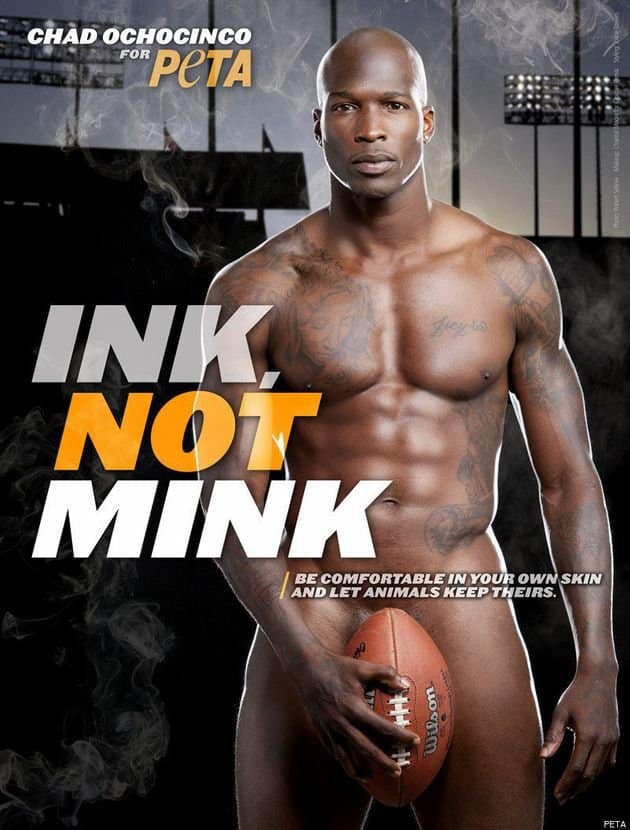 Chad Ochocinco post thumbnail image