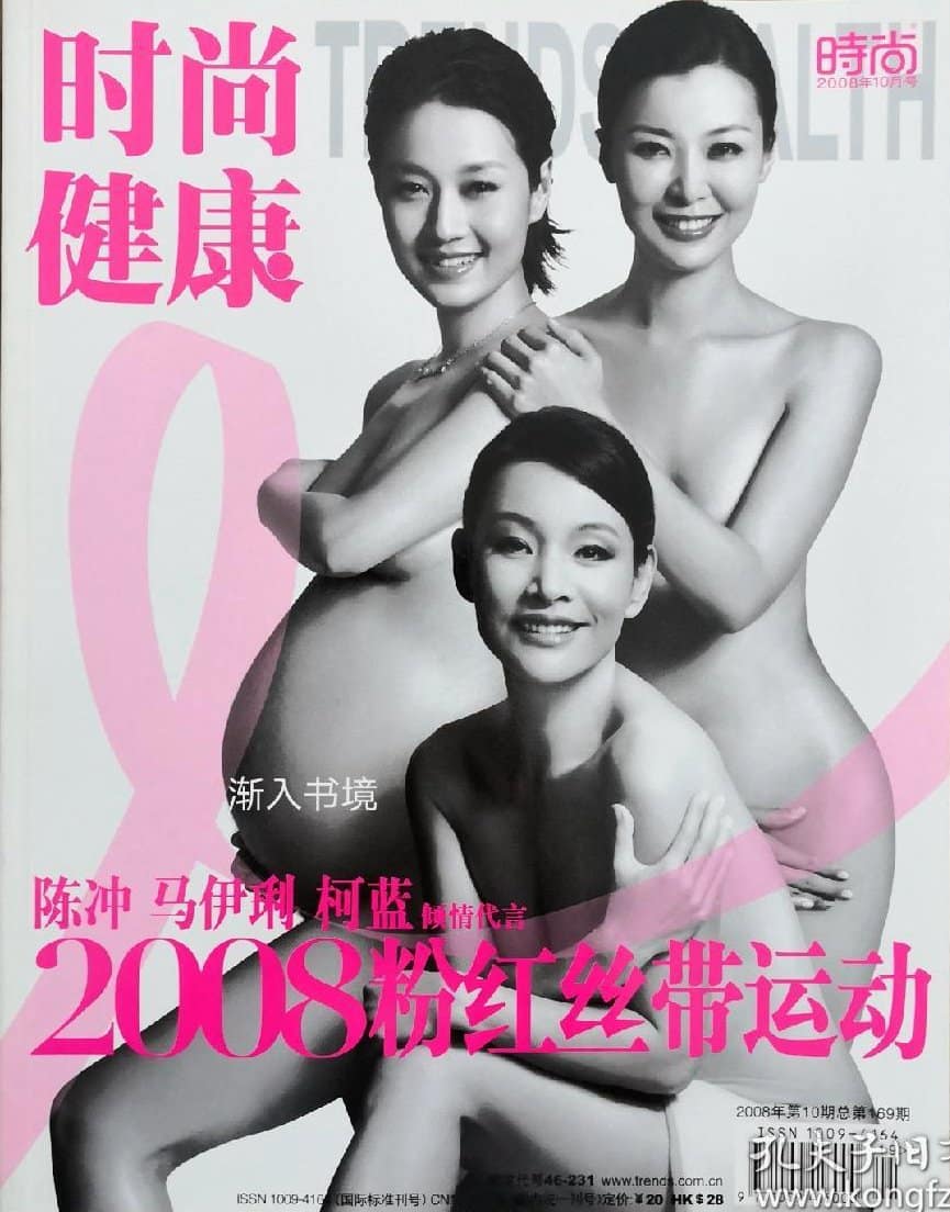 2008 陈冲 cover