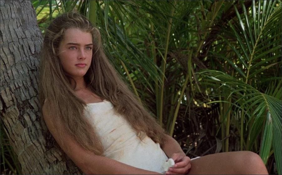 The Blue Lagoon - Brooke Shields (1980) The Blue Lagoon – Brooke Shields (1980)